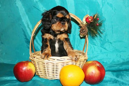 � - �������!)