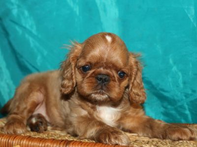 �������� ������� 2 ������.